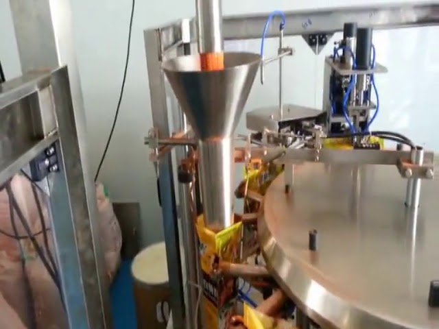 Machine d'emballage automatique Premade Pouch pour épices en poudre
