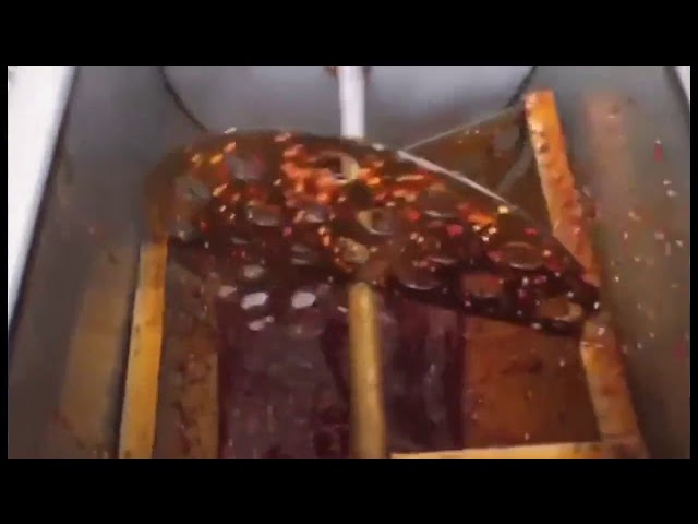 Machine à emballer complètement automatique de petits sacs de miel pour le liquide et la pâte