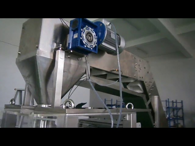 haute machine de conditionnement de nouilles de riz humides de précision de pesage